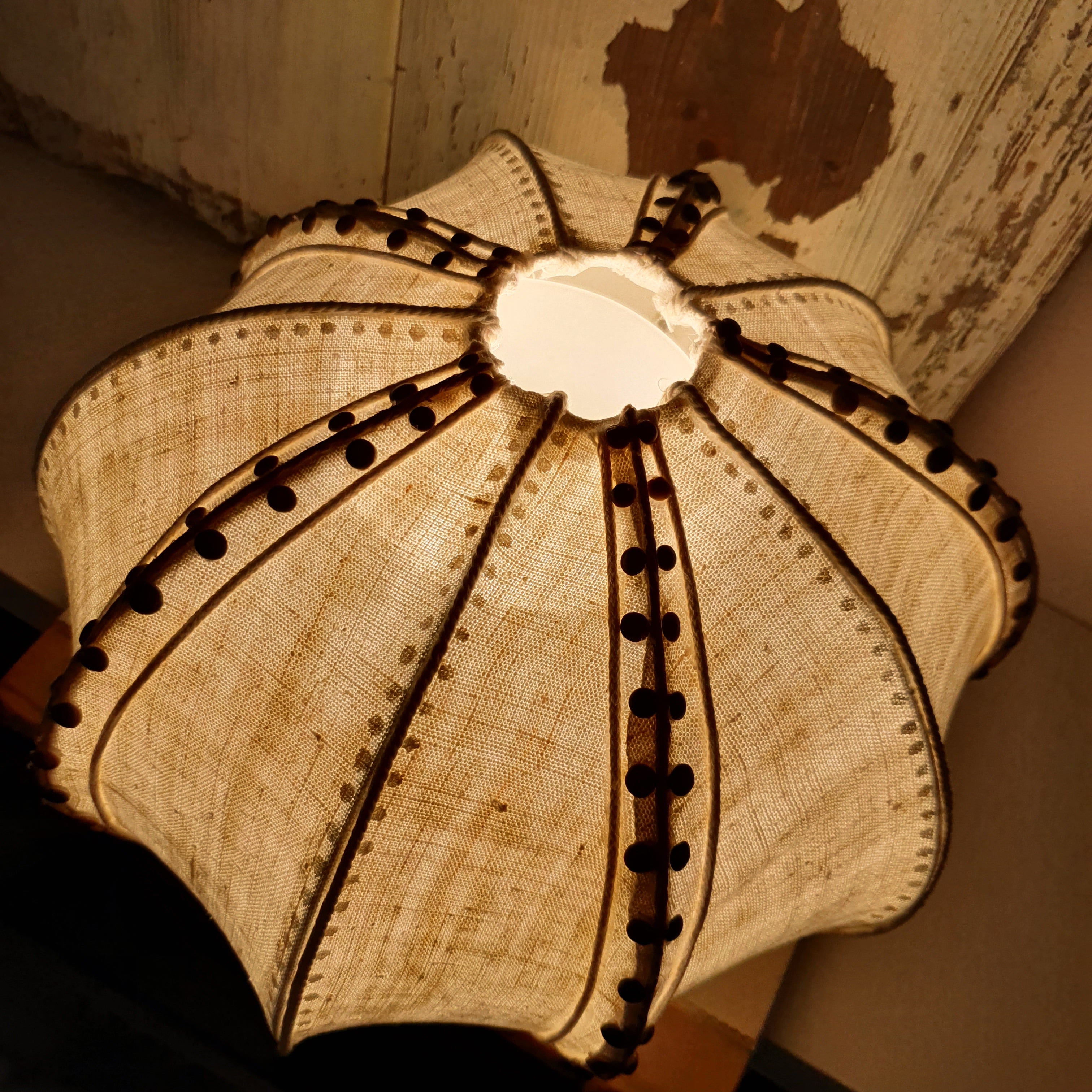 Sea Urchin Lamp with Wooden Base