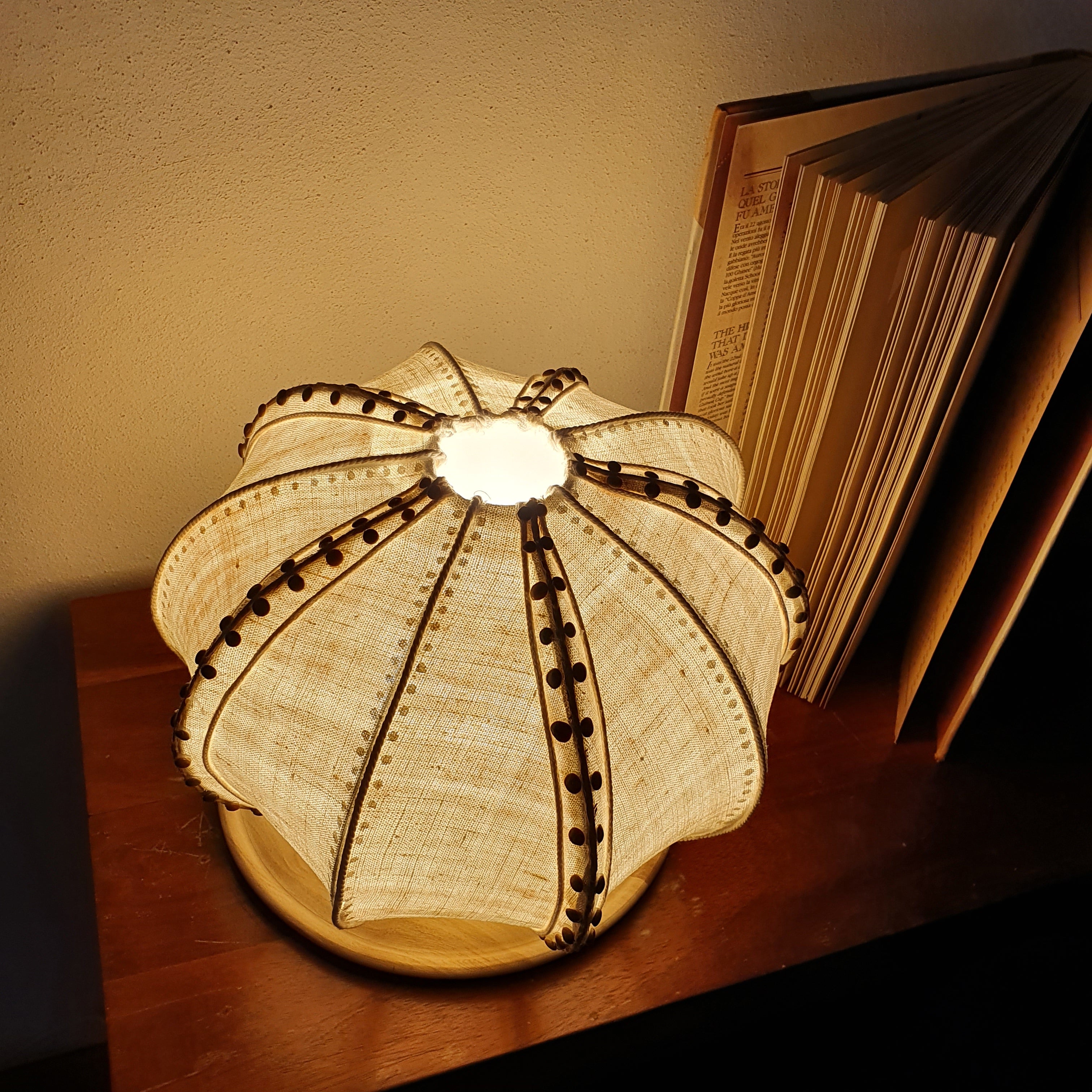 Sea Urchin Lamp with Wooden Base