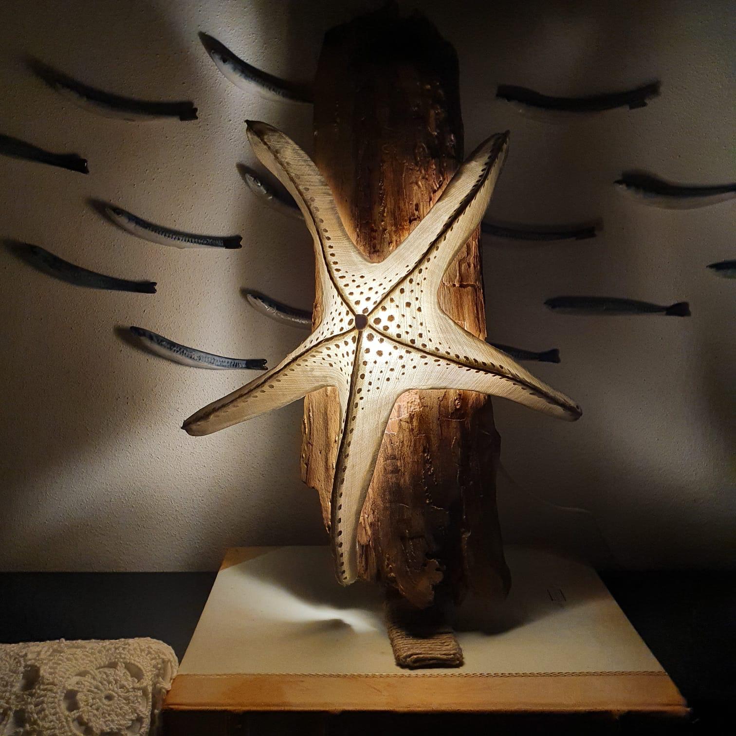 Starfish Lamp with Wooden Support