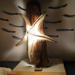 Load image into Gallery viewer, Starfish Lamp with Wooden Support
